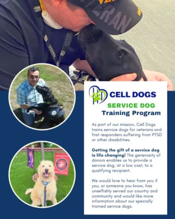 Cell Dogs Service Dog Training Program Flyer 2024